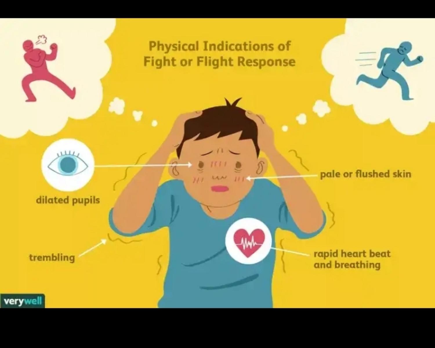 Fight Or Flight Response 