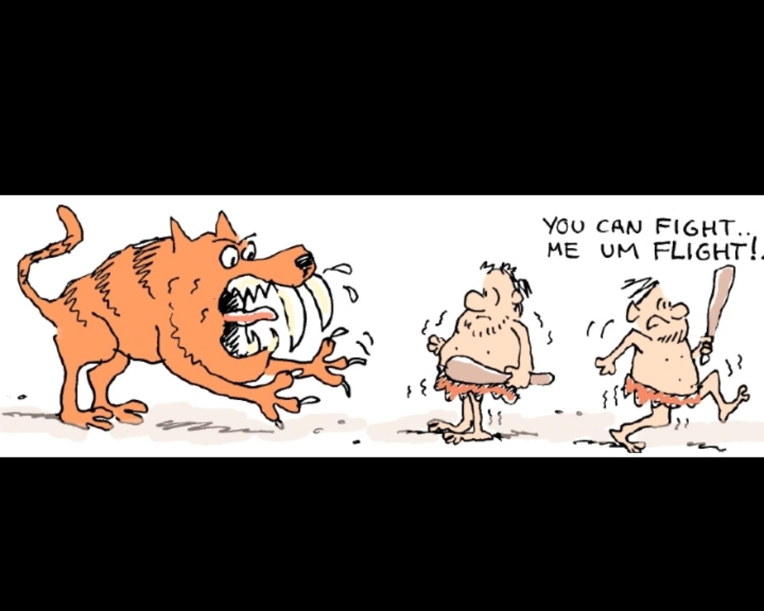 What Heppens During Fight Or Flight Response 