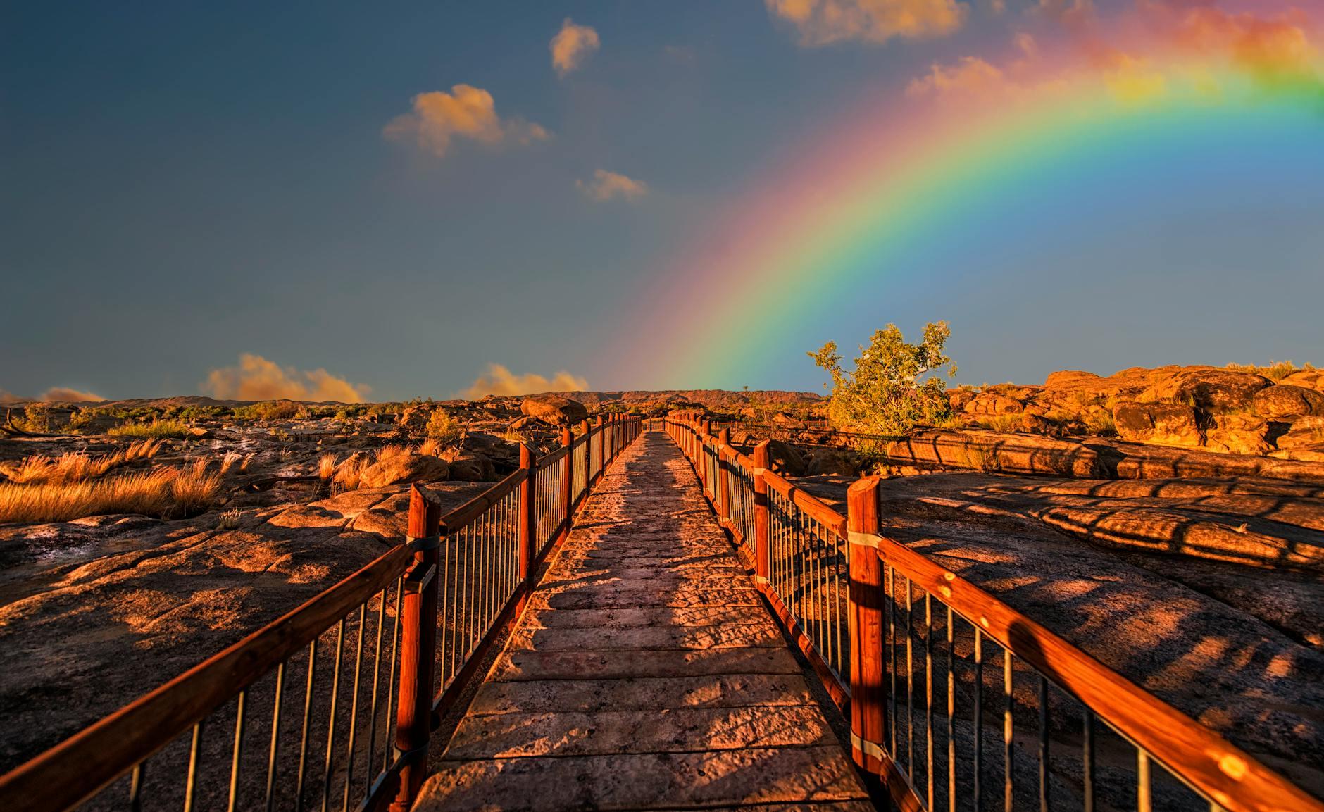 Erwin McManus: How To Know You’re Pursuing Your Dream