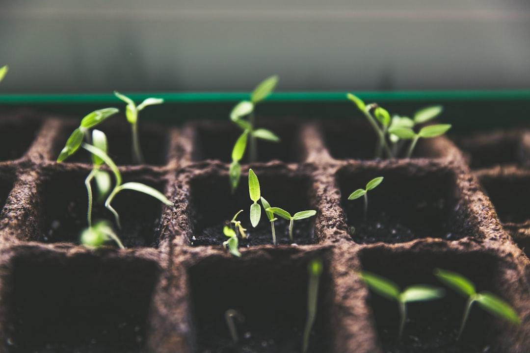 Christine Caine: When You’re In A Dark Place