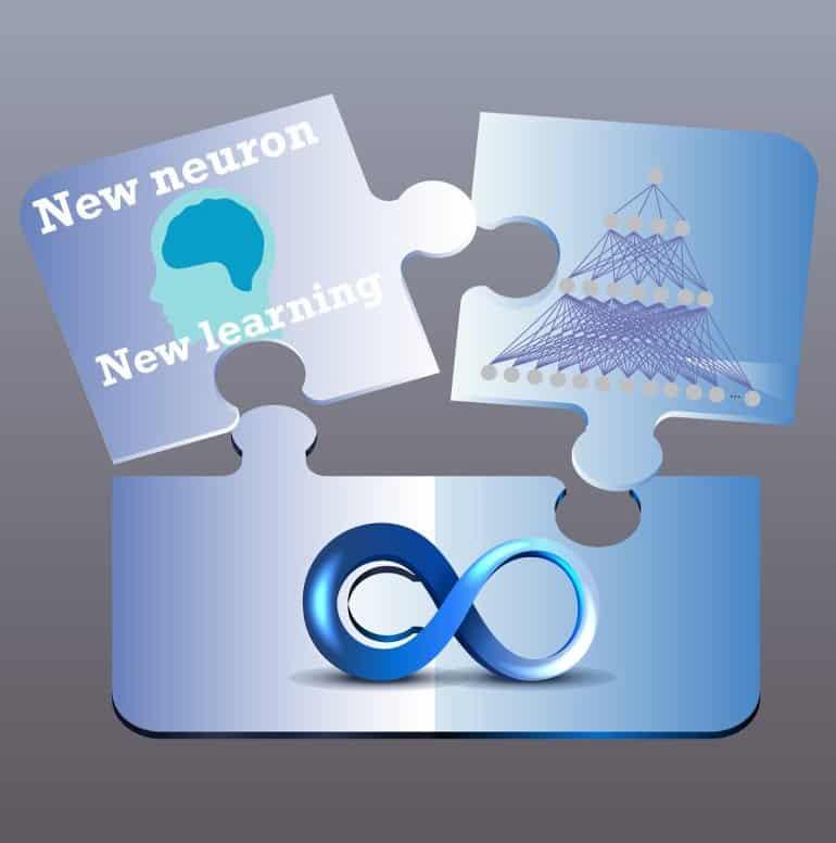 New Neuron New Learning