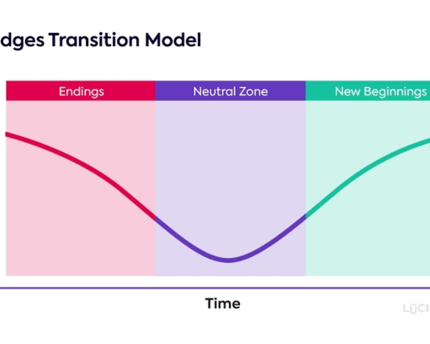 Stages of Transition