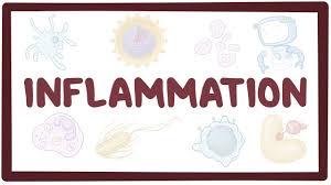 Chronic Inflammation Culprit