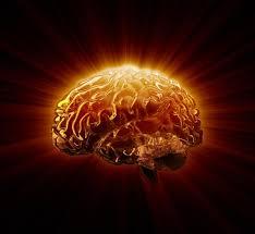 Damage Caused by Inflammation