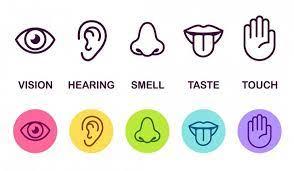 2. Use all your senses
