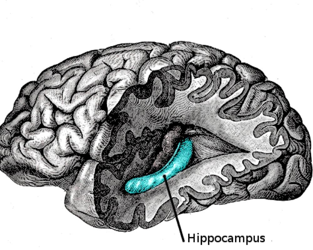 Remembering = Accessing Facts From Memory  