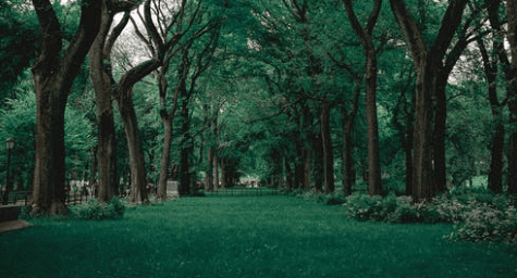 Advantages of exercising indoors-Climate control