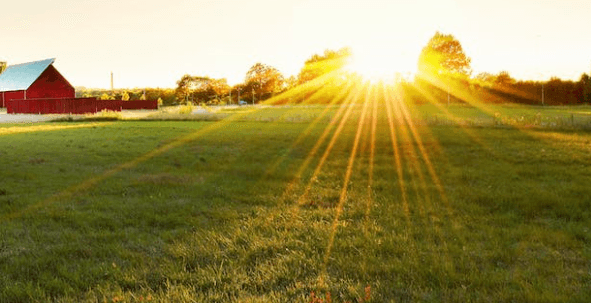 Advantages of exercising outdoors-Exposure to fresh air and sunlight