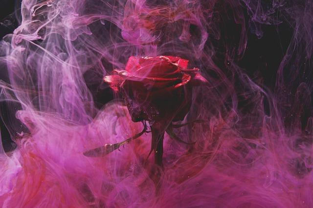 Rose jam 