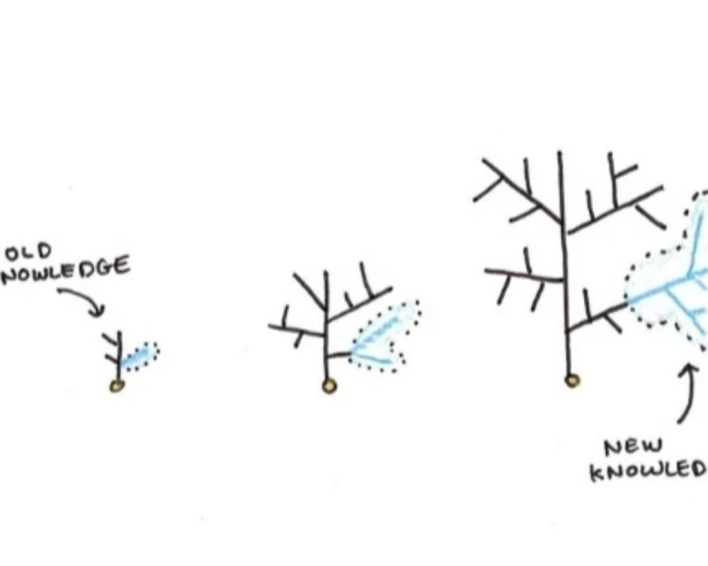 3. Knowledge grows exponentially.