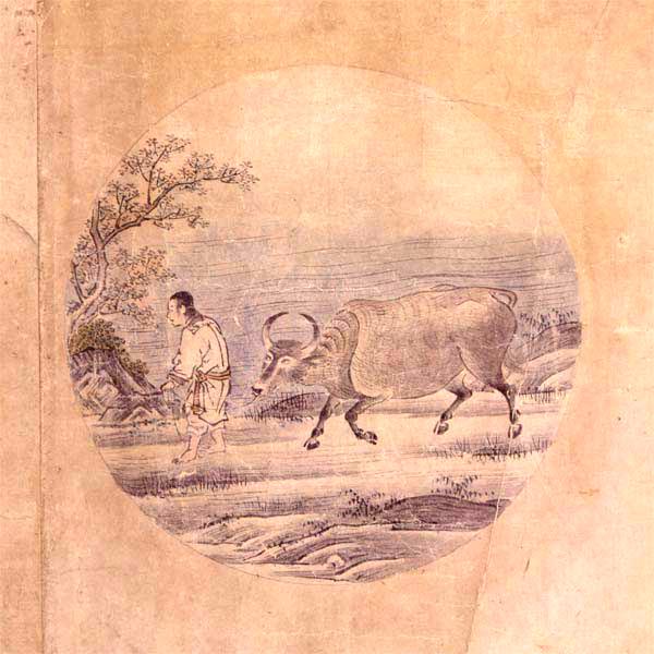 5. Taming the Bull