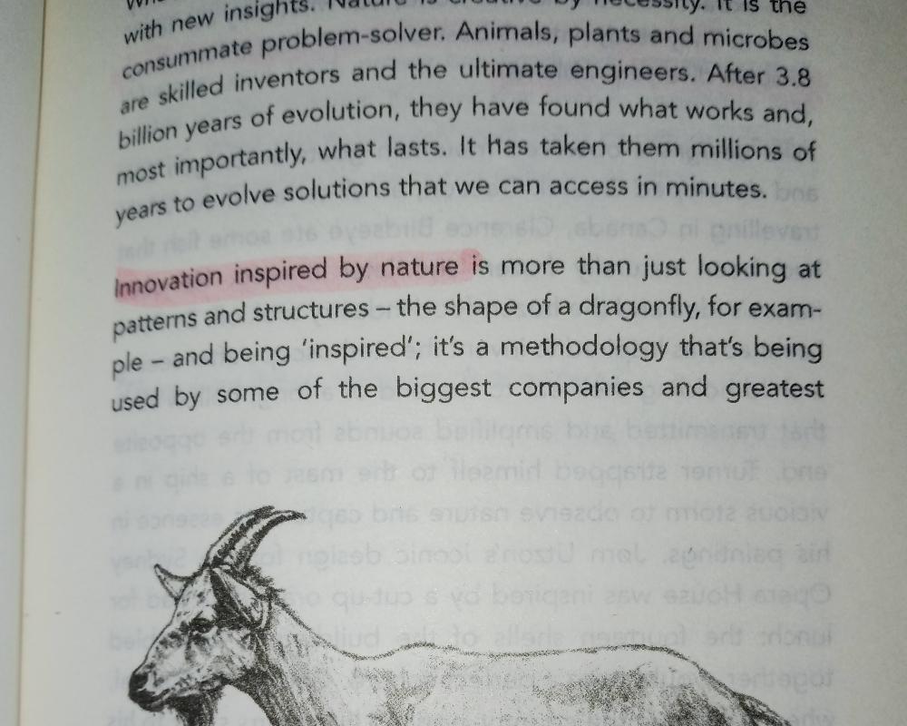 Innovation Inspired By Nature