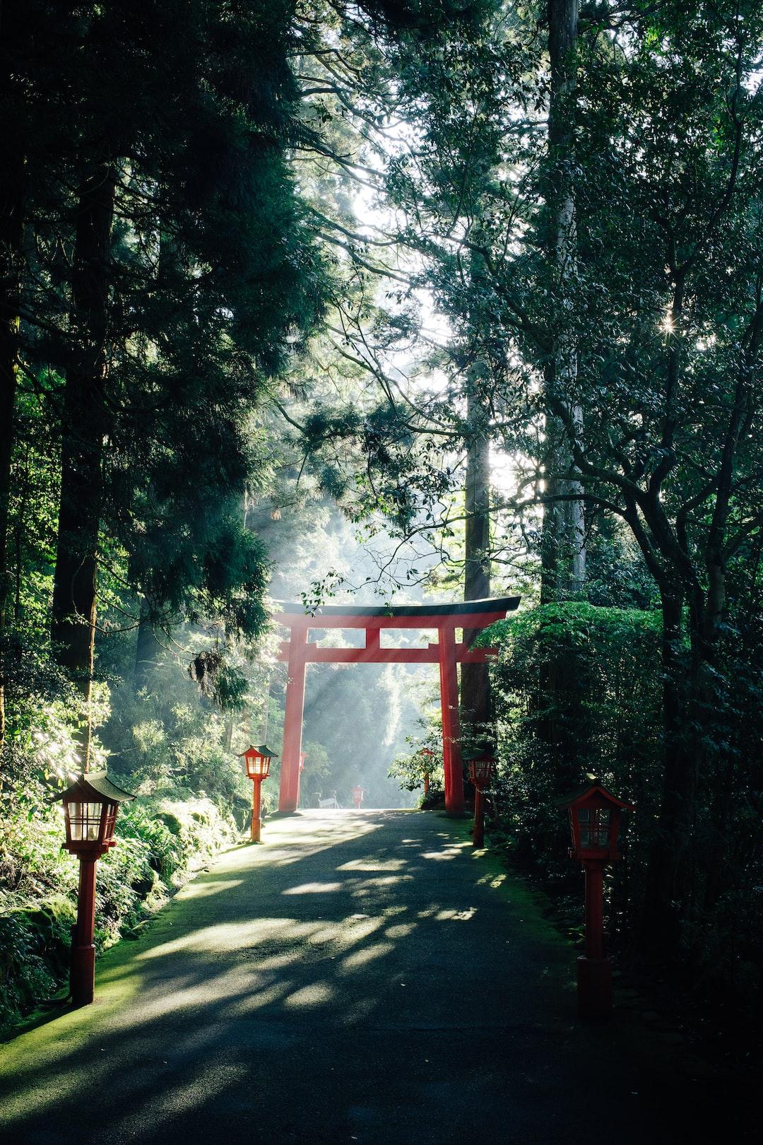 ⛩️ Naomi Shihab Nye getting explained  'Yutori'.