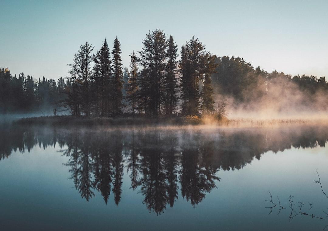 Mindfulness and Self-Reflection in Nurturing Conscience