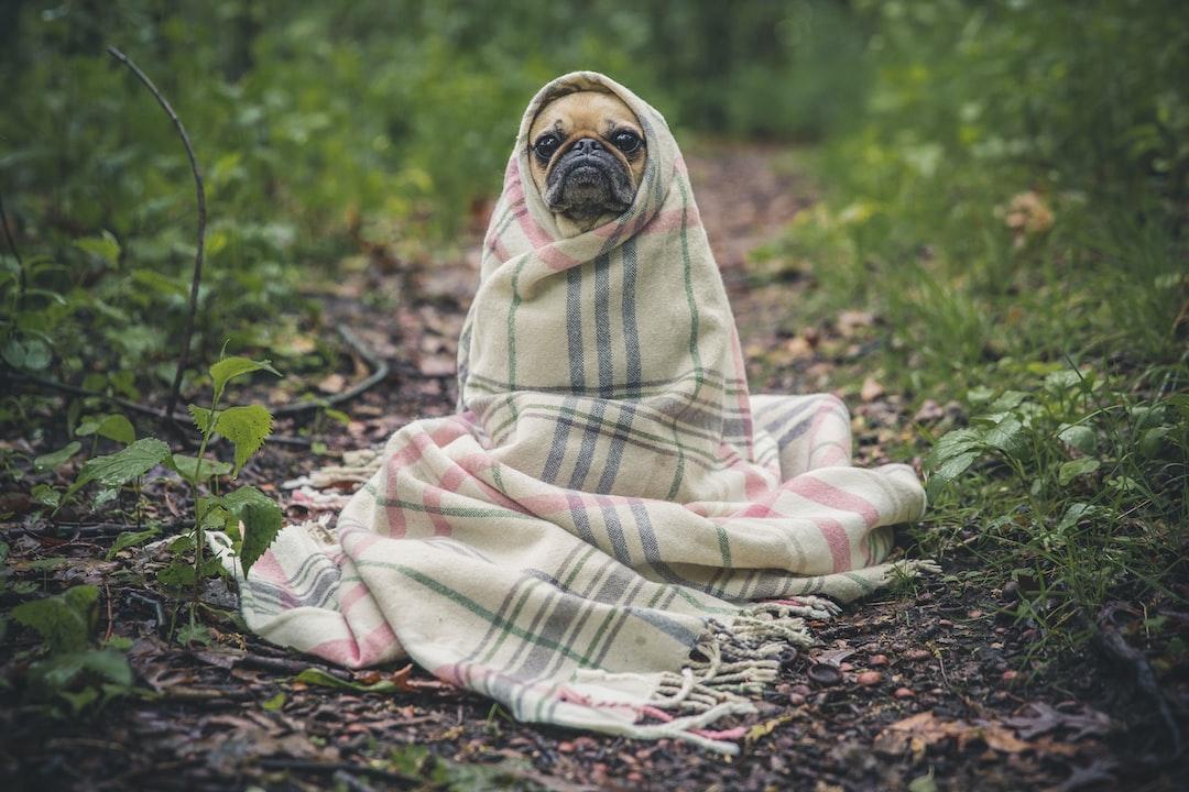 The flu is not caused by cold weather