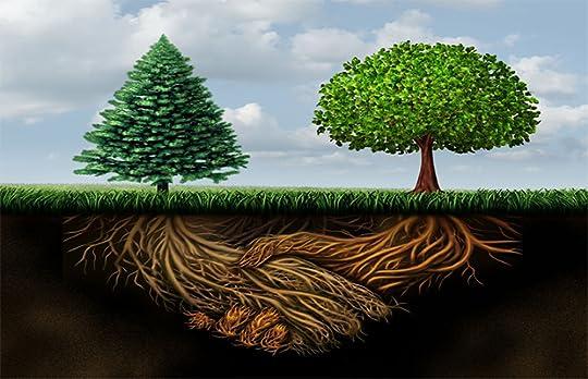 The Hidden Life of Trees