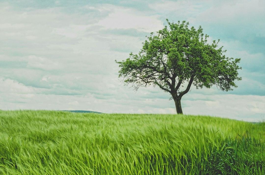 Much more than just plants in the ground