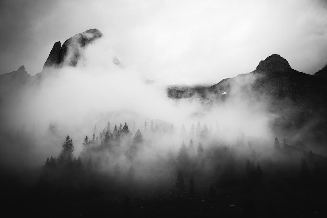 The Forest Senses Everything