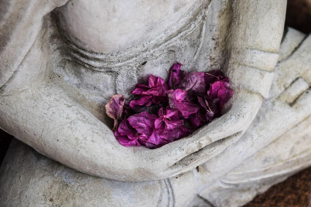 Bonus: Free Meditation Scripts