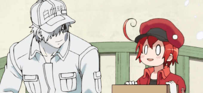 Oxygen Transport: A Red Blood Cell's Adventure in 'Cells at Work!