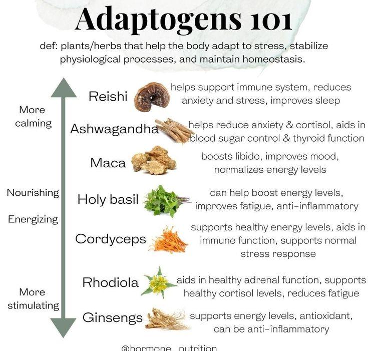 15. Adaptogens