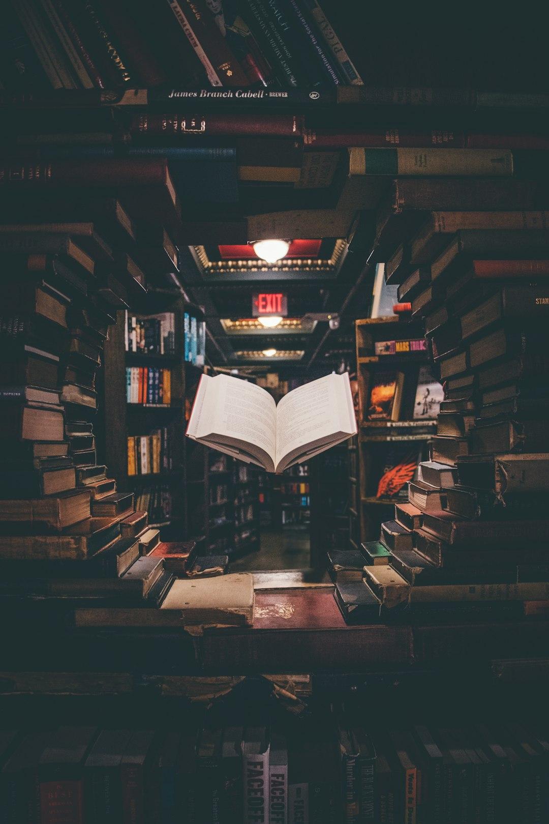 RYAN HOLIDAY