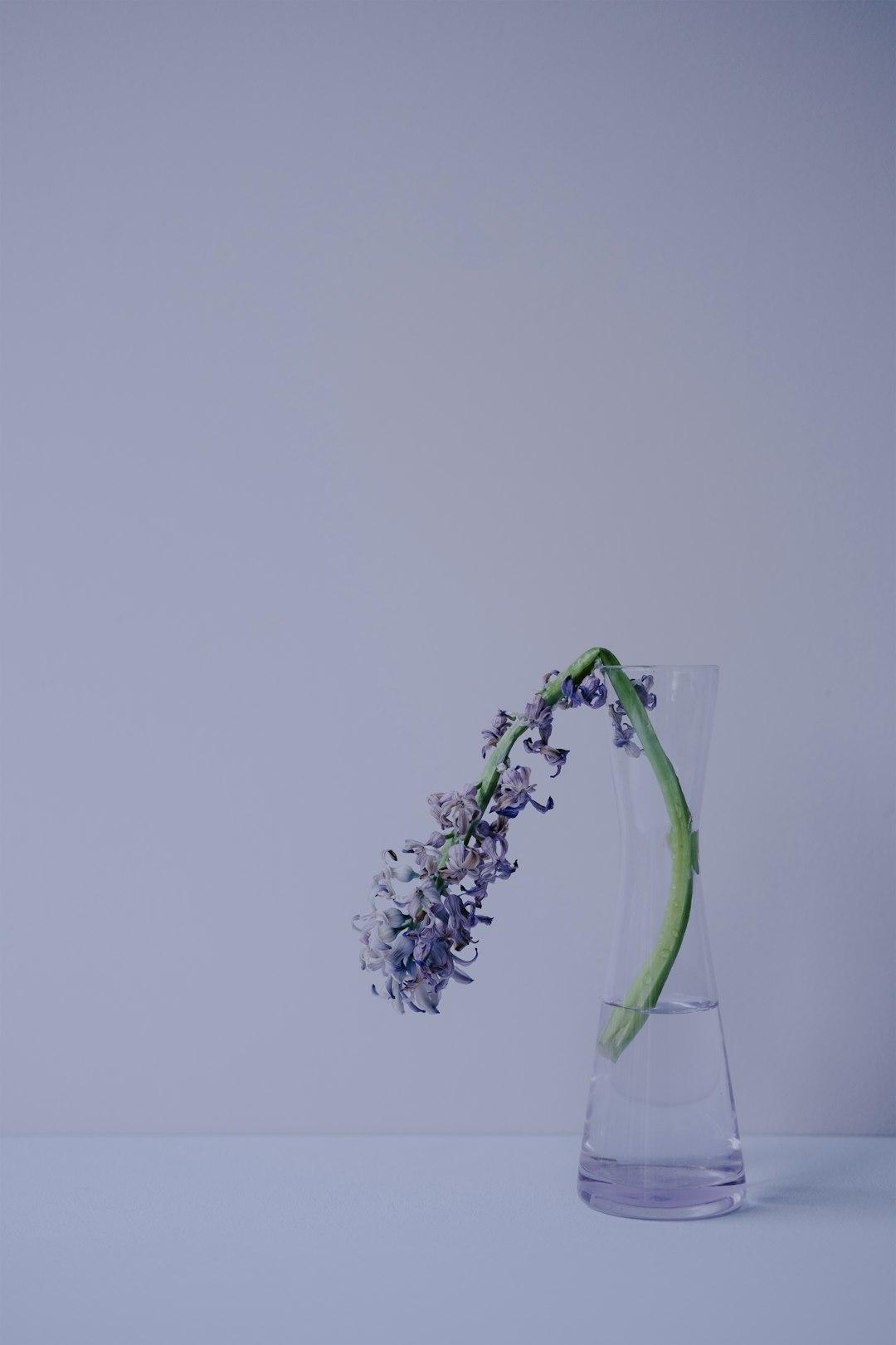 Meditative Moments