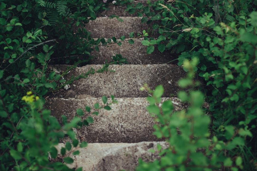 The Next Step On The Journey