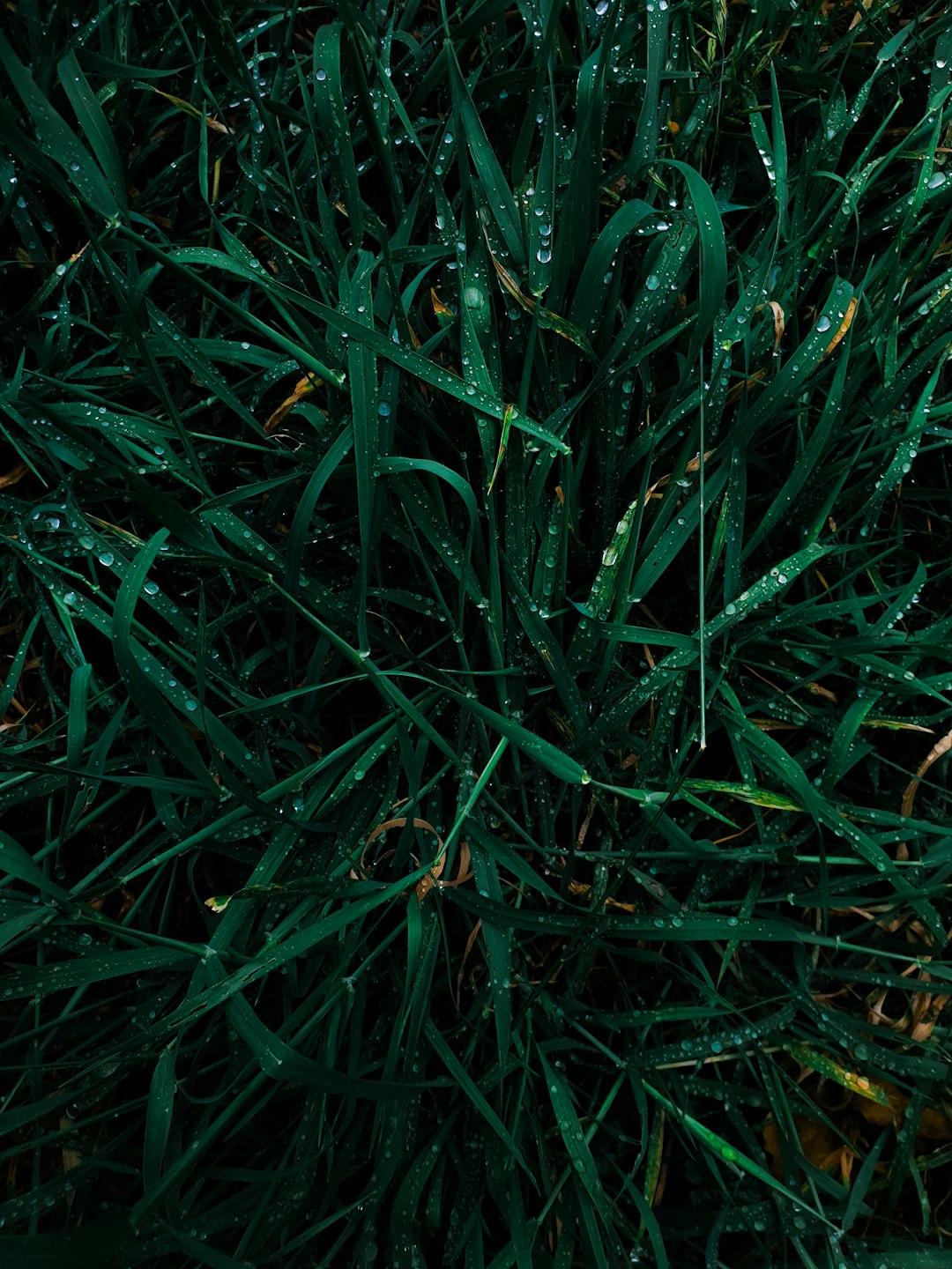 Connect with Nature