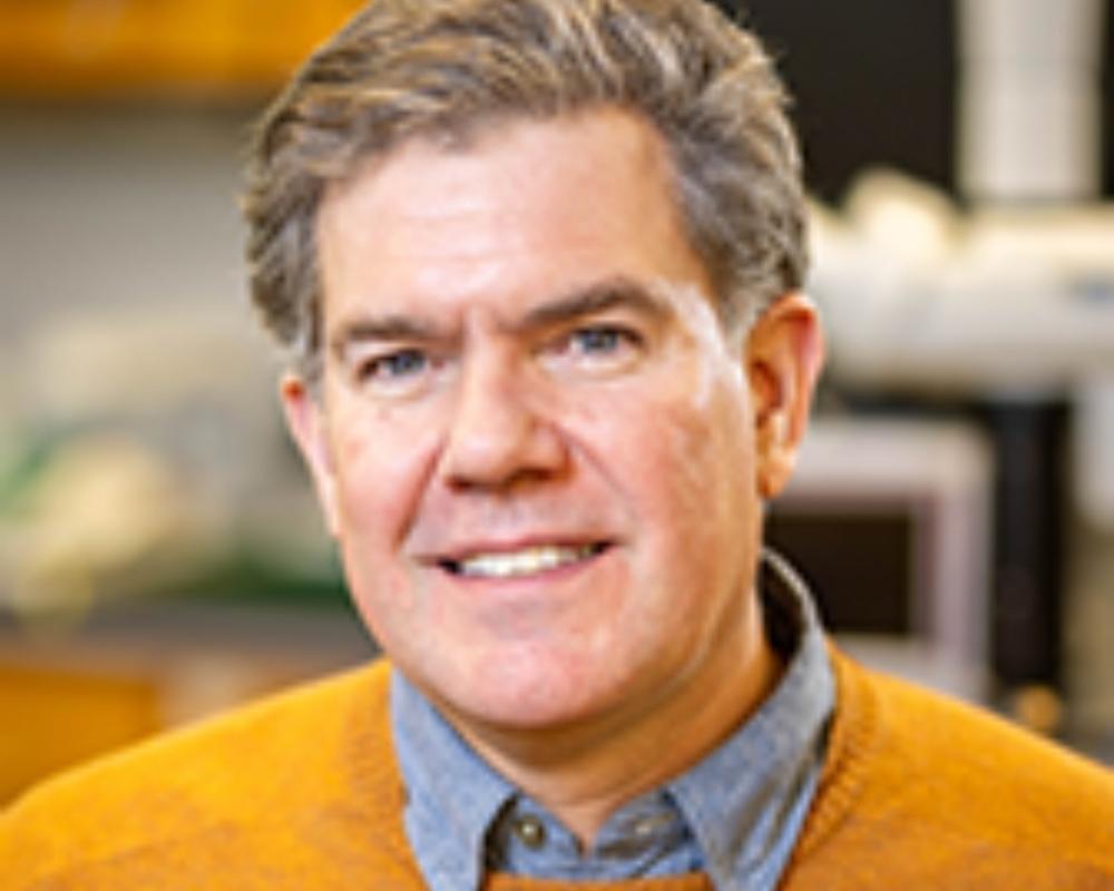STEVE JACOBSEN