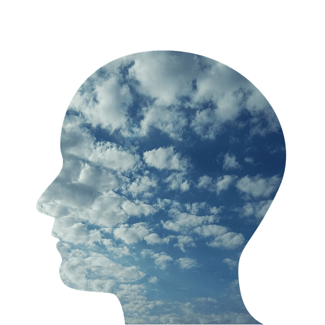 Organizations tend to use AI in three general areas: