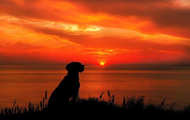<p>The answer lies, on how we ...