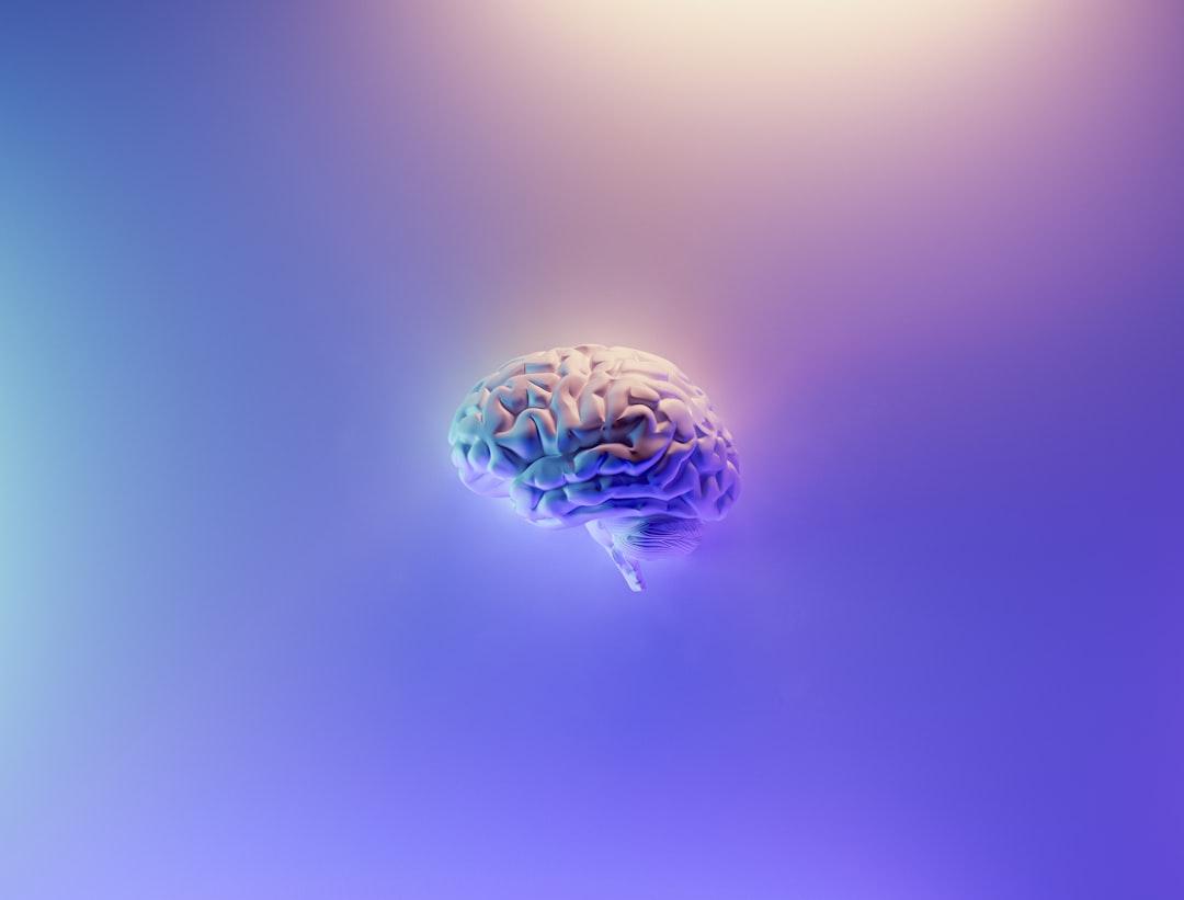 2 – Build a second brain.