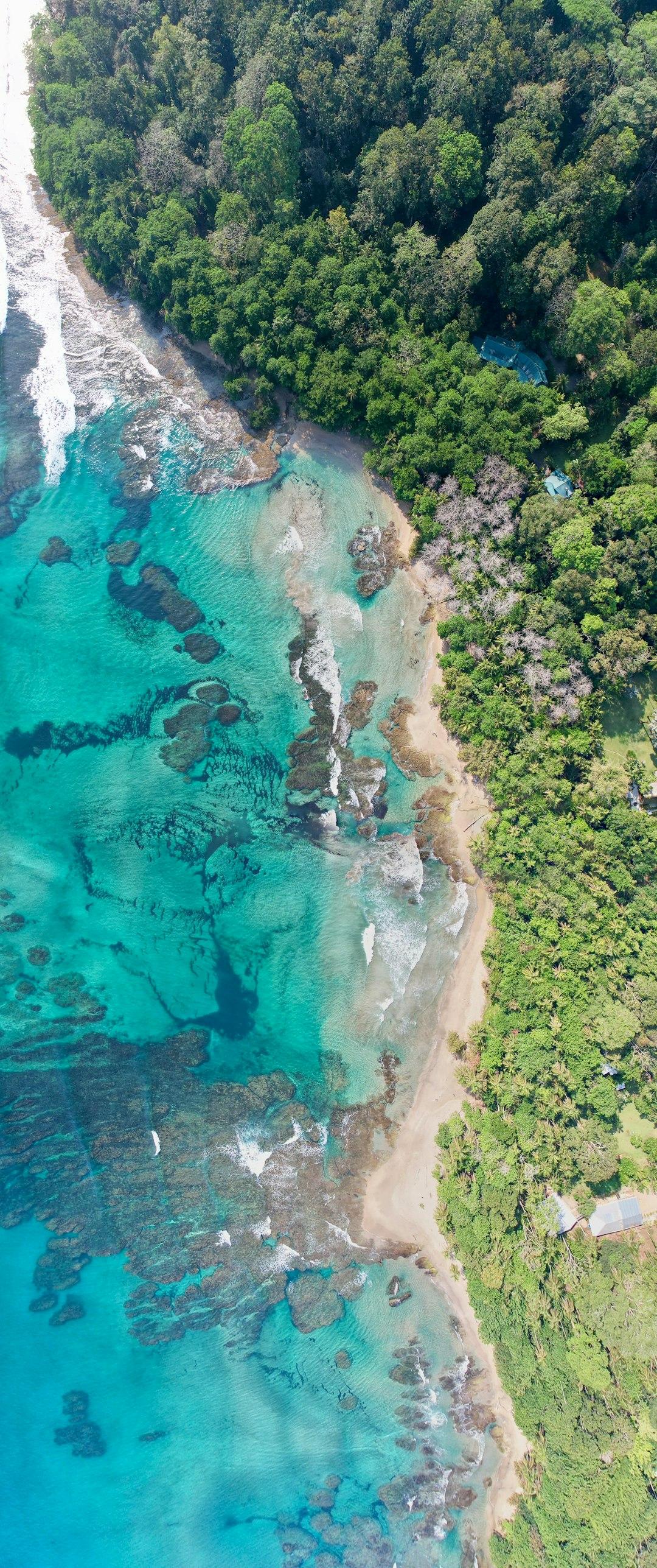 The Natural Environment As An Analogy For Harmony