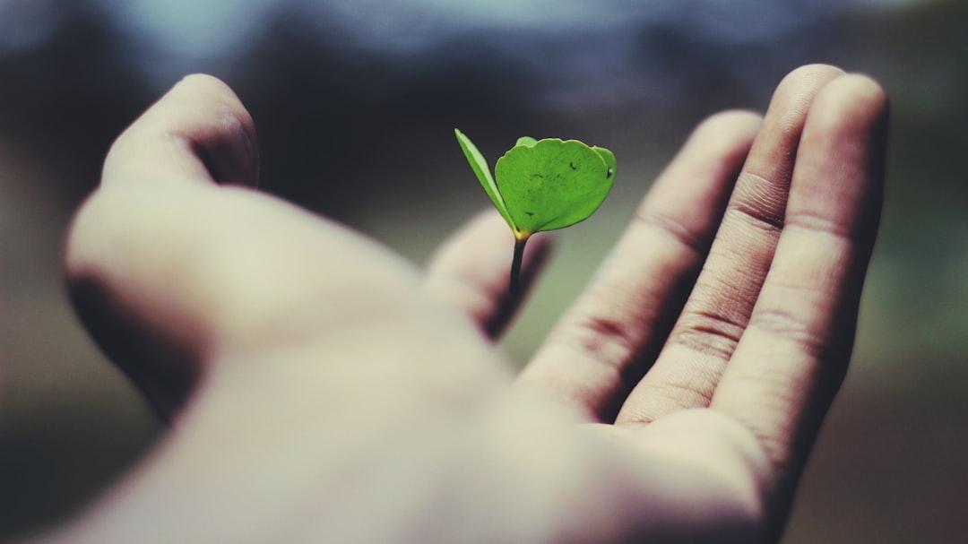 The Role Of Positive Communities In Personal Growth