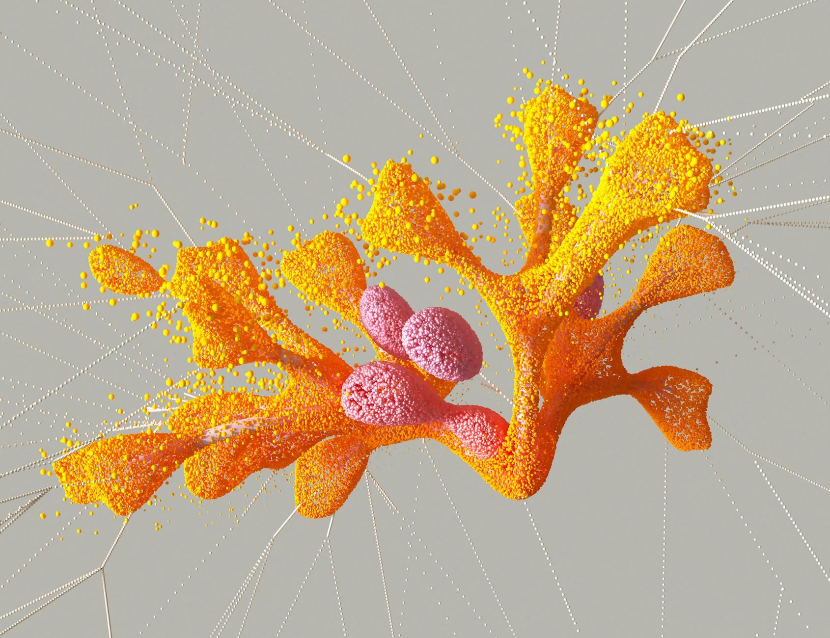 The importance of continuous learning and growth