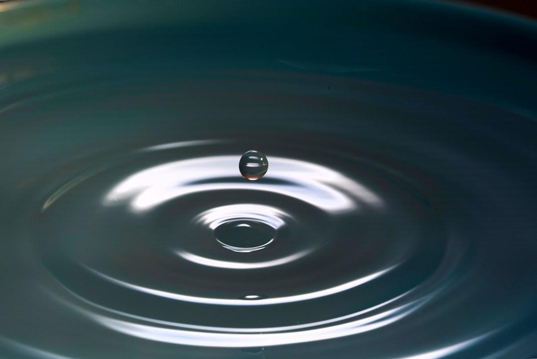 "Mindfulness, Bliss, and Beyond"