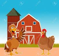 The Story of the Chicken and the Duck