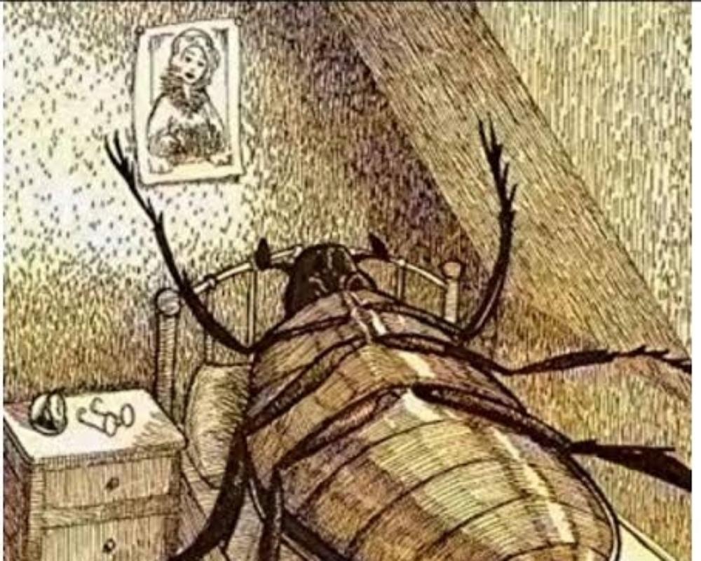 <p>Gregor Samsa, a traveling s...