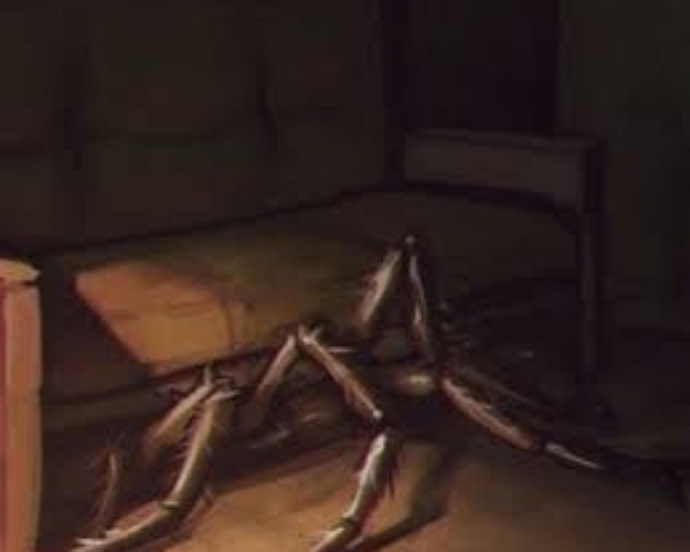 <p>Gregor's transformation lea...
