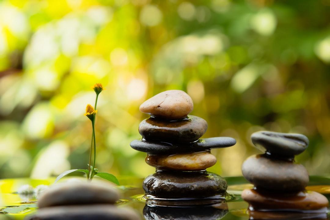 The Simplification Principle