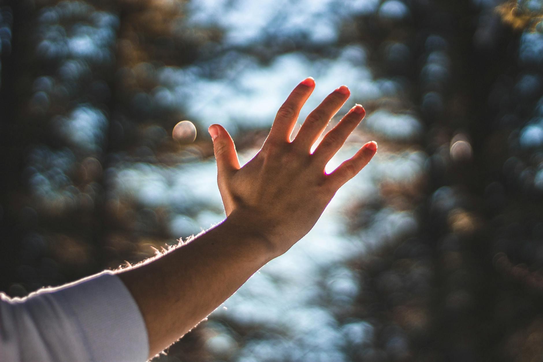 I attract the right people and opportunities into my life: