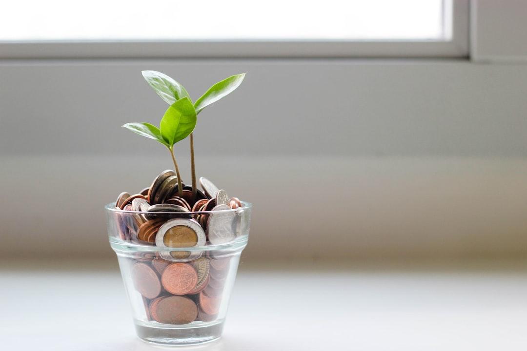 What Is Financial Freedom?