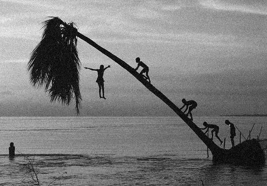 Islands of Competence