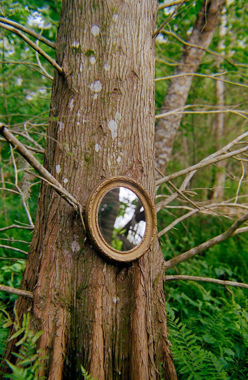 Introduction: The Illusion of Reality
