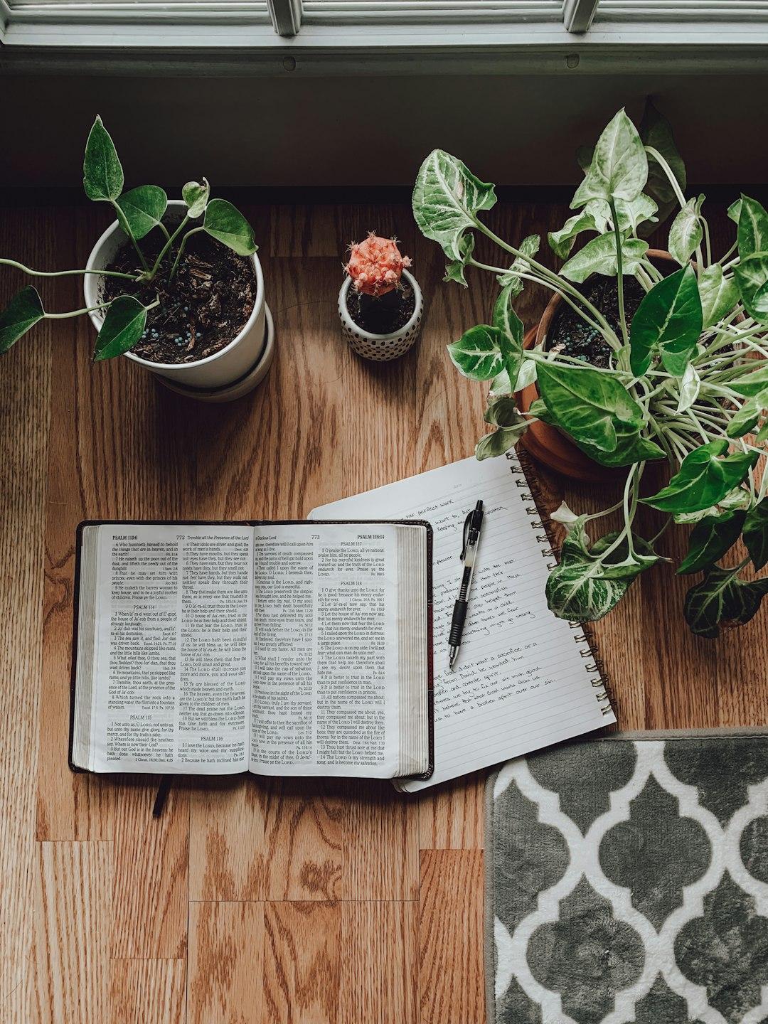 The Study Of Scripture