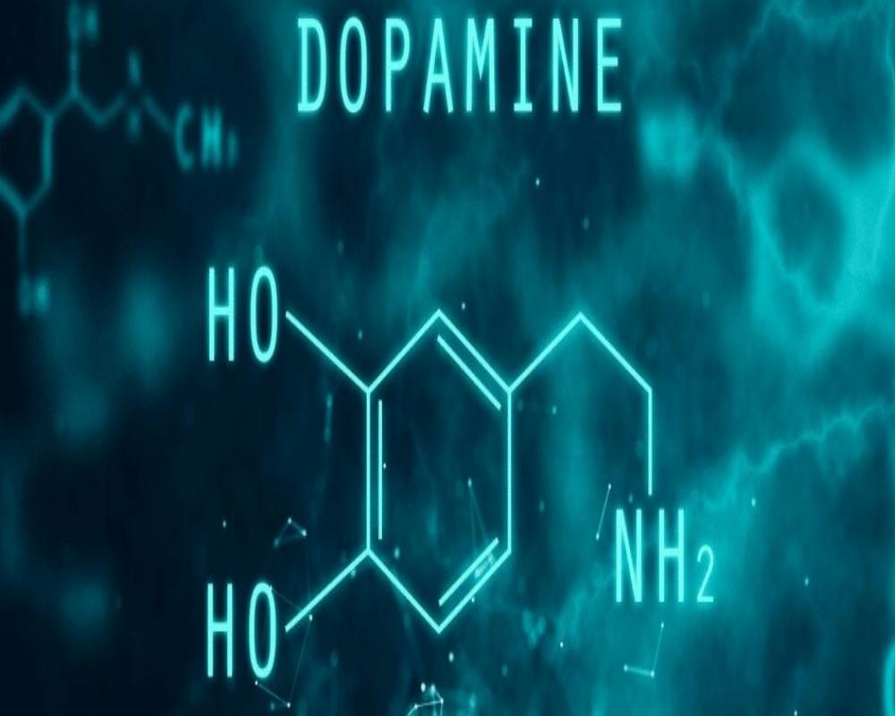 What Is  Dopamine🧪Detox ? 🤔