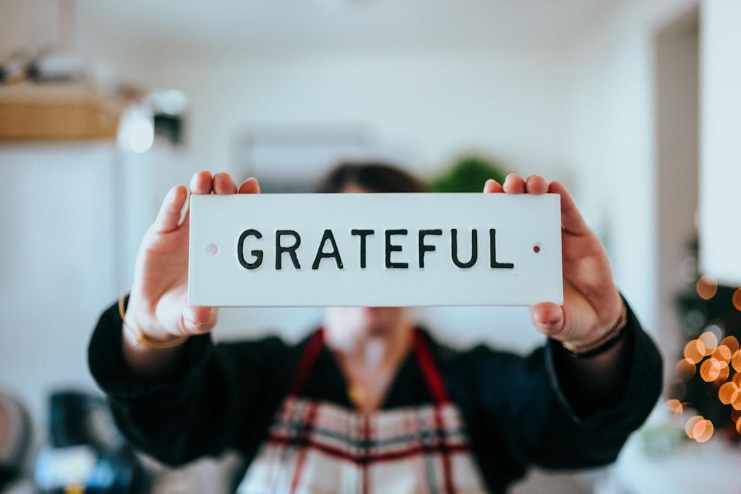 4 — The Gratitude Input
