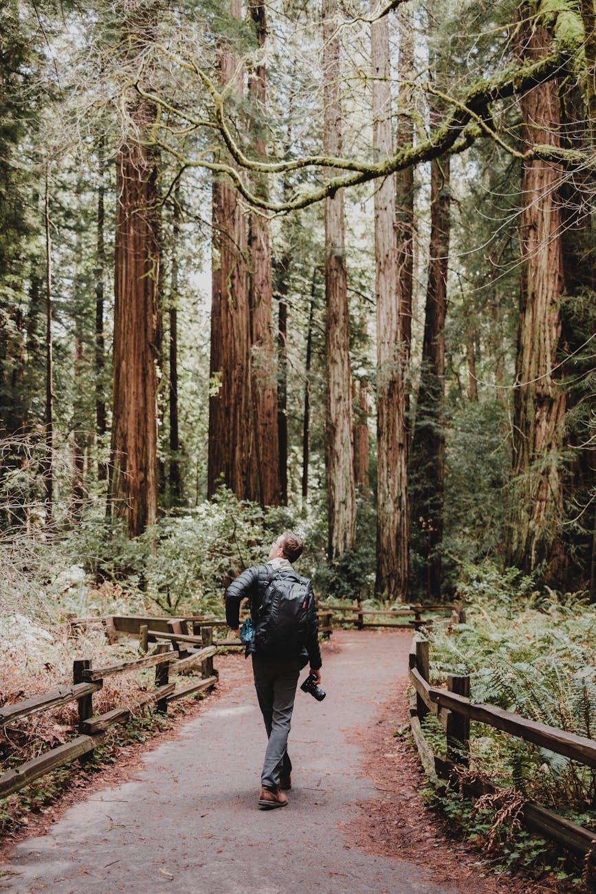 7. Reconnect with Nature
