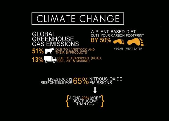 DATA & FACTS
